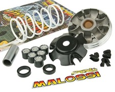 Variomatik MALOSSI Multivar 2000 kompatibel für PIAGGIO NRG mc³ DD Cat 50 LC 98-
