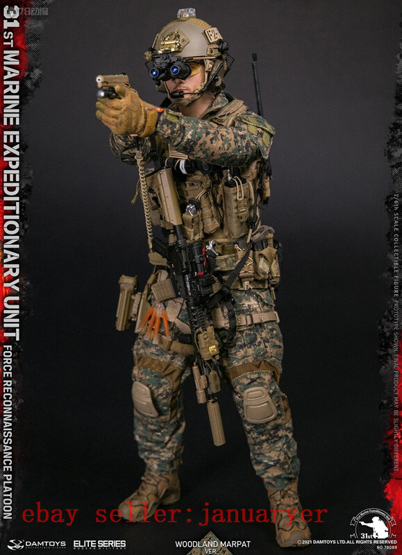 Perfect Damtoys 78089 1/6 31st U.S. Marine Corps Action Figure In