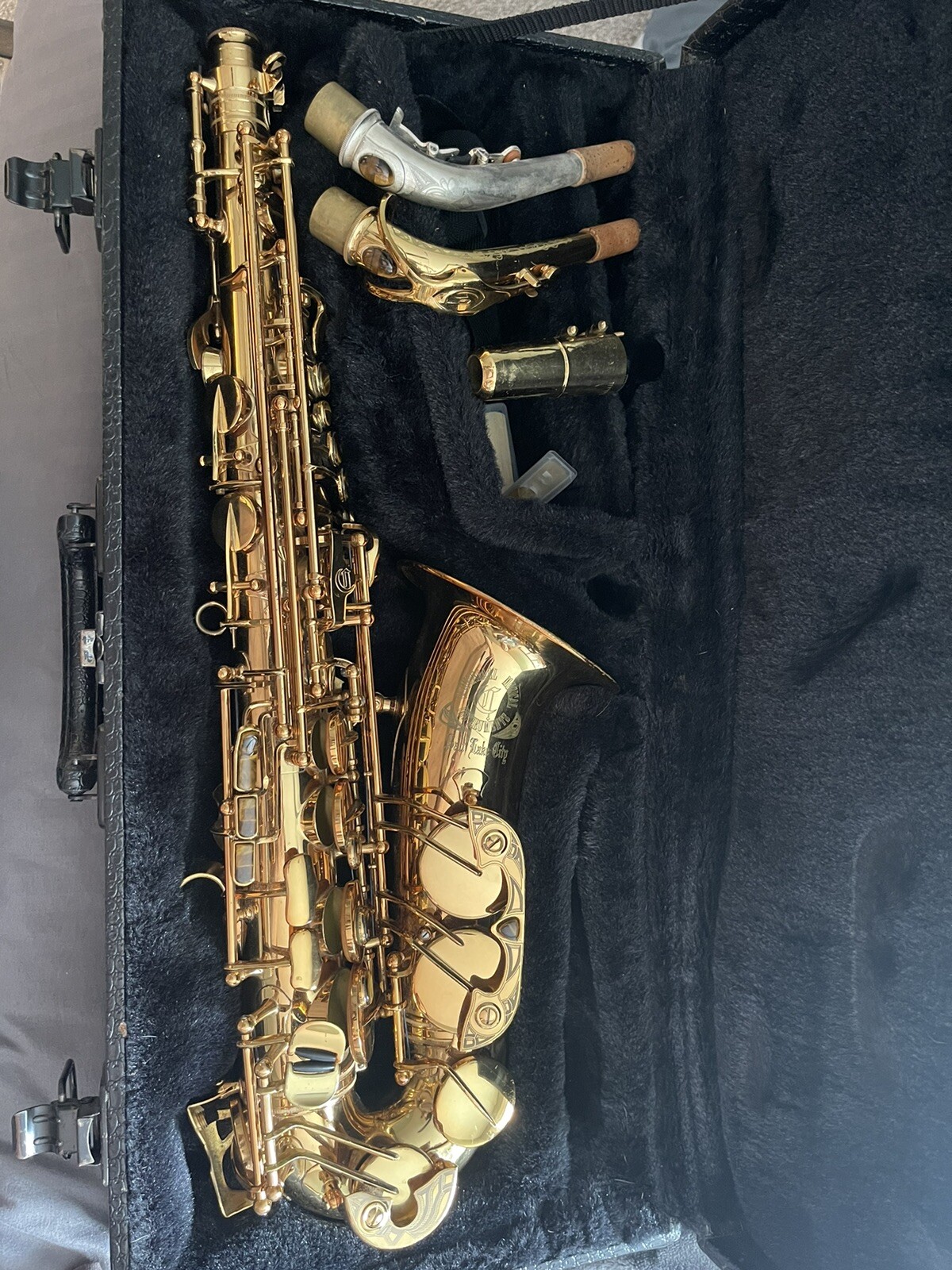 Cannonball Big Bell Stone Series Salt Lake City Alto Saxophone eBay