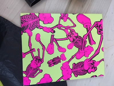 KAWS ARKITIP Incase Laptop Magazine Skeleton Case RARE MINT