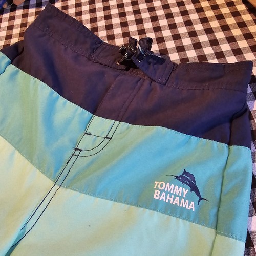 Tommy Bahama Board Shorts Boys LG Swim Trunks Mesh Liner Teals Navy Stripe Beach - Picture 3 of 10