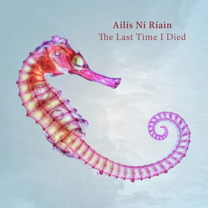 Ailis Ni Riain Ailís Ní Ríain: The Last Time I Died (CD) Album - Bild 1 von 1