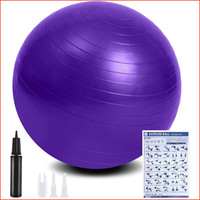 Gymnastikball 55Cm-65Cm Anti-Burst Extra Dicke Mit Pumpe FüR Fitness Pilates
