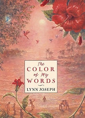 The Color of My Words - hardcover Joseph, Lynn
