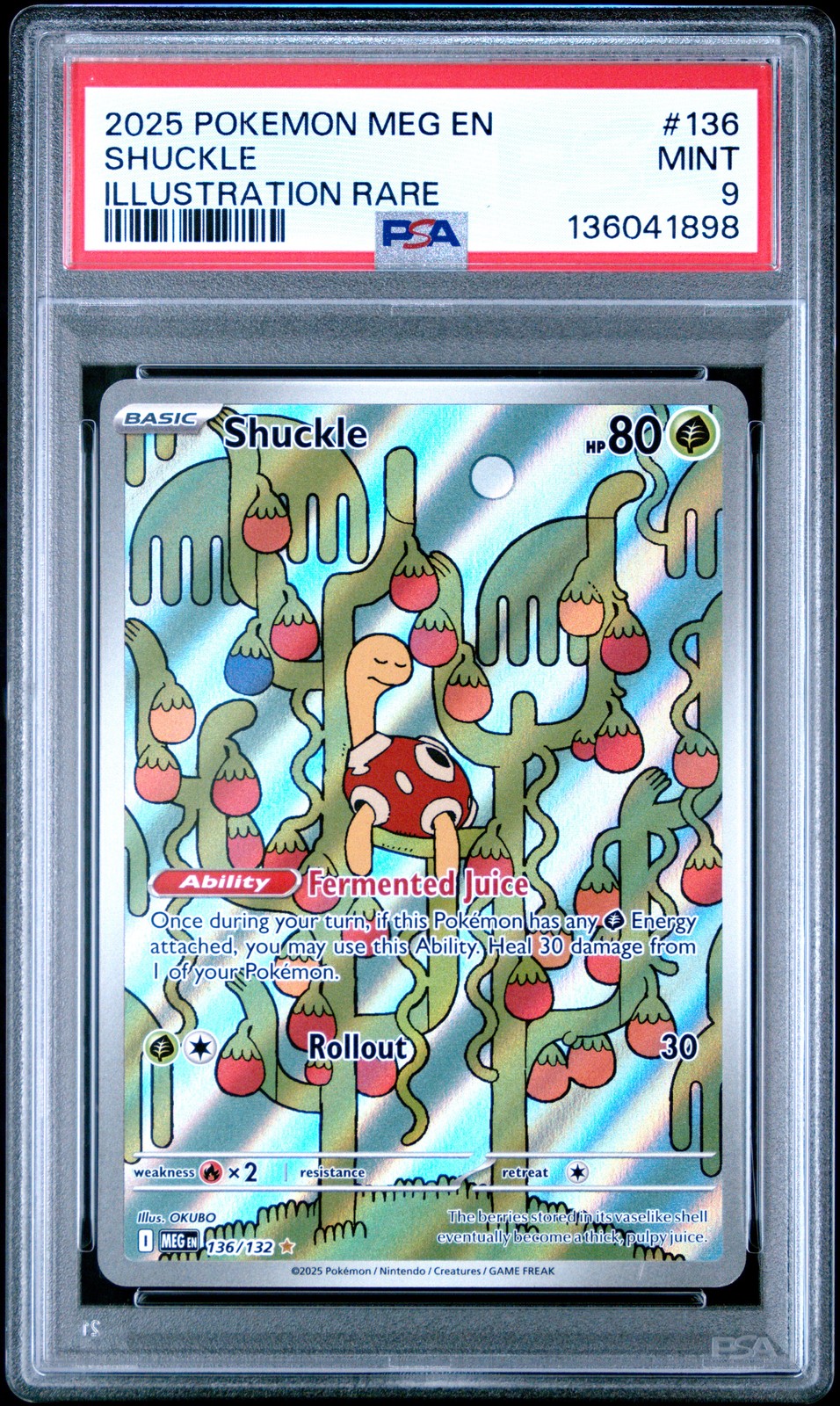Shuckle #136