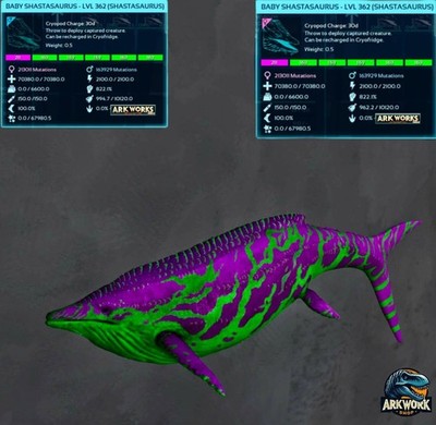 🦖ARK Survival Ascended Shastasaurus Top Stats PVE PS5/XBOX/PC | eBay