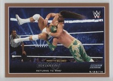 2015 Topps WWE Road to Wrestlemania Bronze Bo Dallas #18 0l2