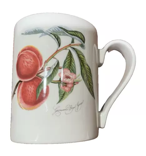 Portmerion POMONA Grimswood Royal George Peach MUG Straight Sided Old Mark Rare