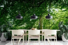 3D Forest Green Wallpaper Wall Mural Removable Self-adhesive Sticker8086