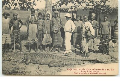 Französischer Kongo - Unerhörte Erfassung eines Kaimans von 5m. de long à la Plage - S - 21647