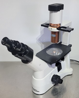 Microscopes - Inverted Phase Contrast Microscope