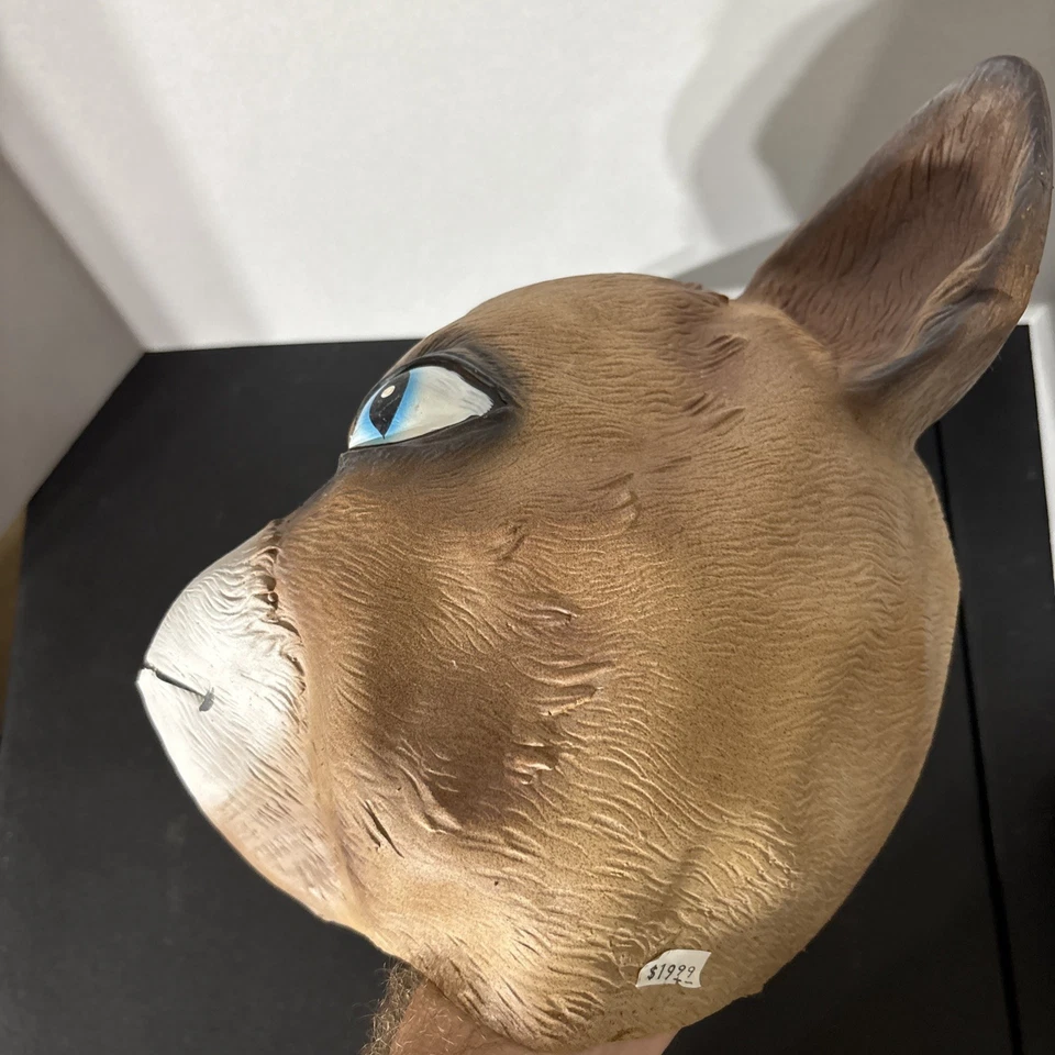 Cattitude Mask Angry Cat Grumpy Fancy Dress Halloween Adult Costume Accessory - Image 4 of 4