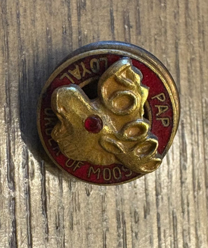 Loyal Order Of Moose P.A.P.  Screw Back Pin Vintage Collectible Gold & Red Tone