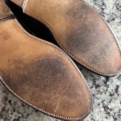 Alden 561