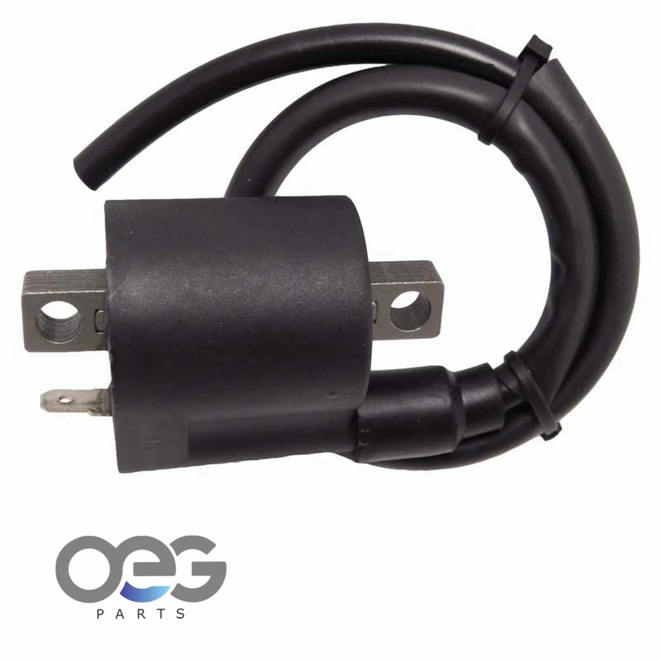 Bobina nueva, encendido para Honda RVT1000R RC51 00-06 3TB-82310-00 3TB-82310-00-00 Foto 3 de 4