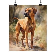 Rhodesian Ridgeback Dog Art Print, Dog Wall Art, Animal Art Print, Pet Artwork