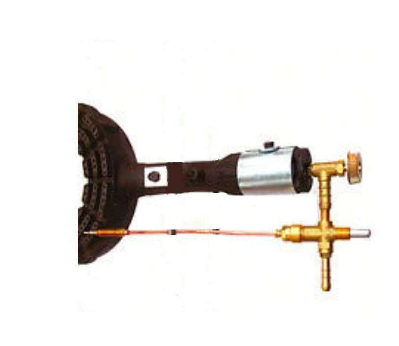 Napoleon Prestige P665RSIB Barbecue A Gas Professionale - Foto 9