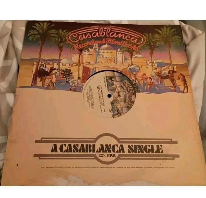 Village People Ready for the 80's 12" Promo Casablanca NBD 20203 Eighties 1979 Foto 2 de 2