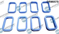 Dr.Motor Automotive Dichtungssatz, AnsaugkrüMmer U.A. FüR CitroËN, Fiat, Ford
