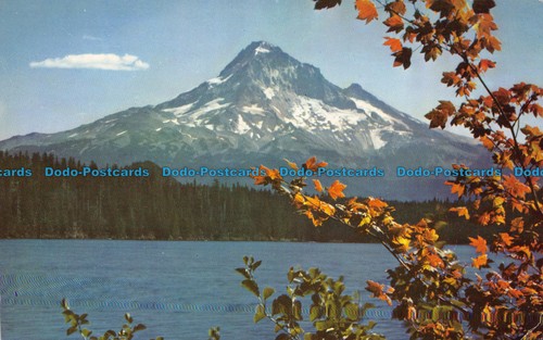 R066398 Mt. Kapuze. Oregon. Fred N. Bay News