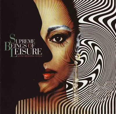 CD Supreme Beings Of Leisure Divine Operating System Palm Pictures
