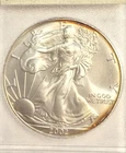 BU 2002 Silver Eagle, with great details, in a Plastic Presentation holder