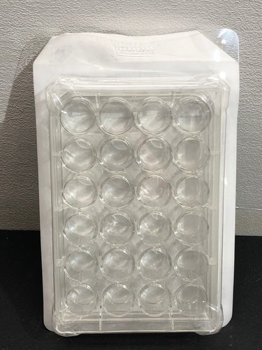 Corning Costar 3524 cell culture plates 24 well flat bottom - Picture 2 of 10