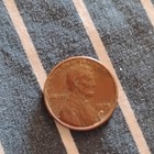 Picture 13 of 24