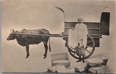 c1910s Colombo, CEYLON (Sri Lanka) Postcard ''Travelling Trader'' Man w/ Ox Wagon