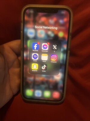 iPhone 12 Pro Max With TikTok Installed 