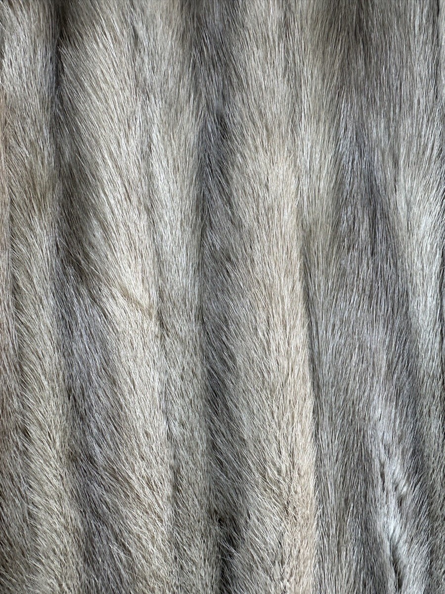 RARE 50s Vintage Cerulean Brand Emba Natural Blue Mutation Mink