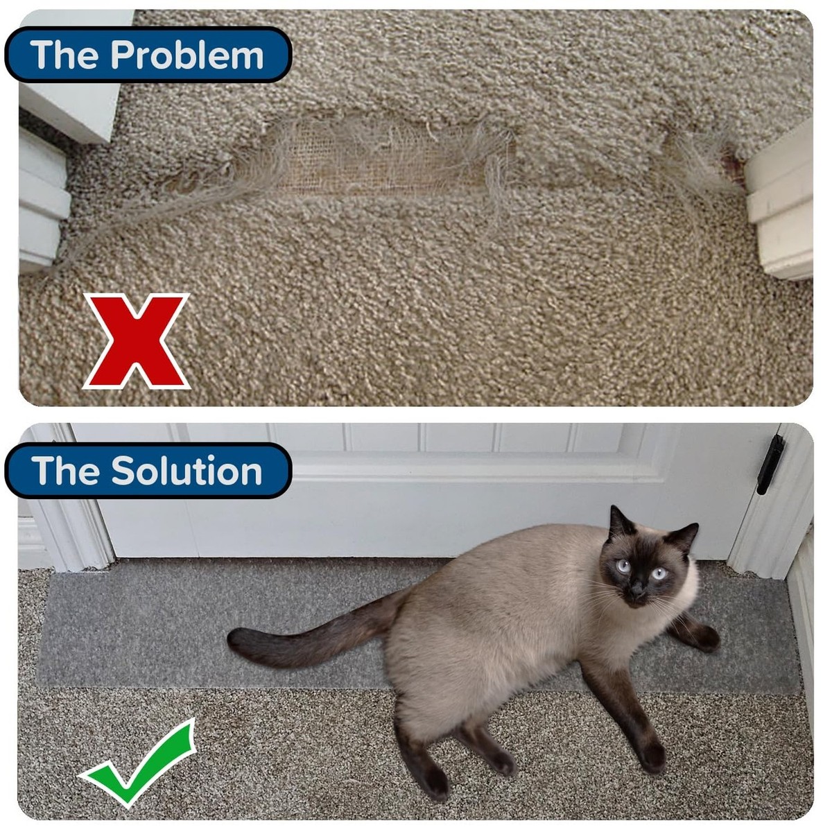 How to Get a Cat to Stop Scratching Carpet: Expert Tips Revealed