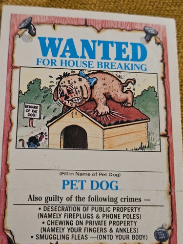 1986 Topps Garbage Pail Kids Card DANA Druff 165a - Picture 6 of 8