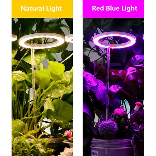 USB LED Grow Light Plant Growing Plants Ring Lamp Full Spectrum ...