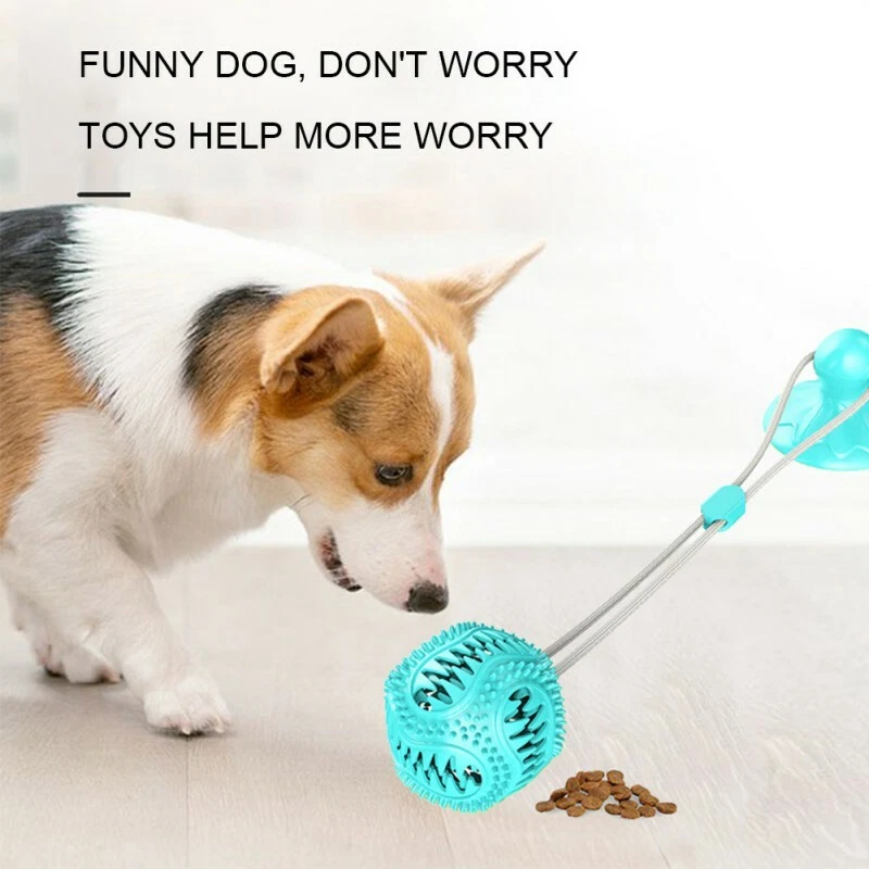 Dog Rope Ball Interactive Tug of War Toy Suction Cup Molar Teeth