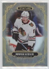 2020-21 Upper Deck Stature Dominik Kubalik #54 ez4