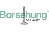 Auslassventil Borsehung B18997 FüR Transporter 7EJ T5 VW 7HJ 7EB 7HB 7EF 7HM 7HN