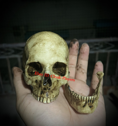 3,95" Niestandardowe wysoce realistyczne CZASZKA Symulacja ludzkiej czaszki Rekwizyty na Halloween - Zdjęcie 1 z 5