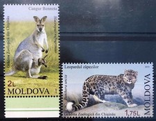 Moldova 2013 Moldavia Set Snow Leopard Panther Kangaroo Kangaro Marsupial Zoo