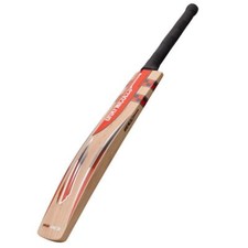 Gray-Nicolls GN-Predator3 Force ReadyPlay Cricket Bat, Youth