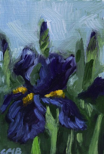 Irises ACEO Original Oil Painting Collectible Card 2.5"x3.5" Miniature Artwork