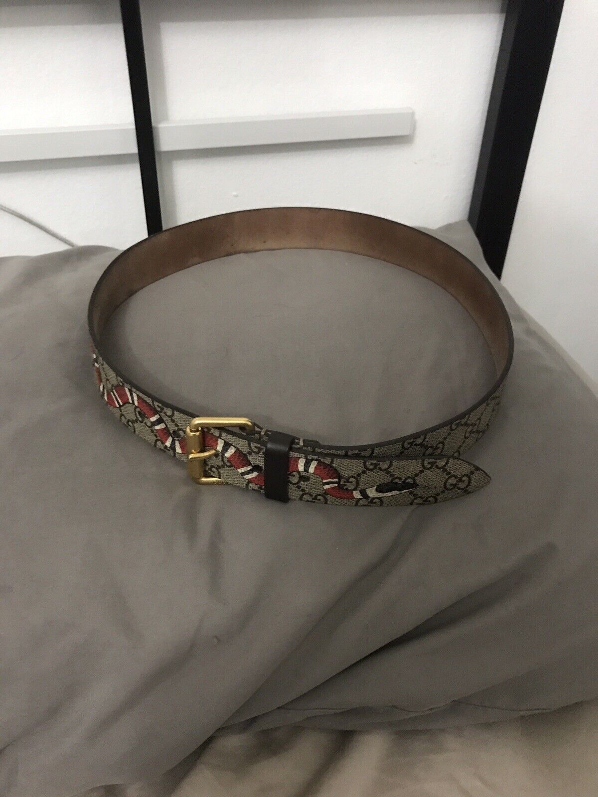 Gucci Belt Supreme Kingsnake Brown for Men