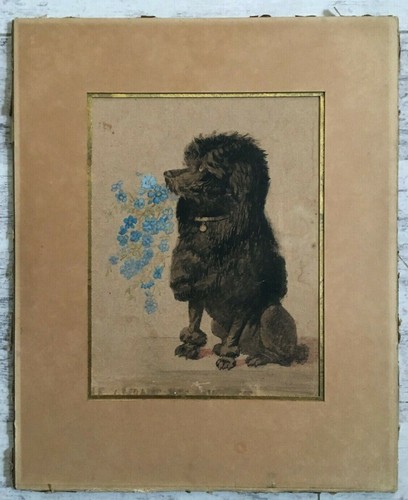 Aquarelle XIXe Belle époque Petit chien Caniche aux fleurs Art Nouveau - Photo 5/10