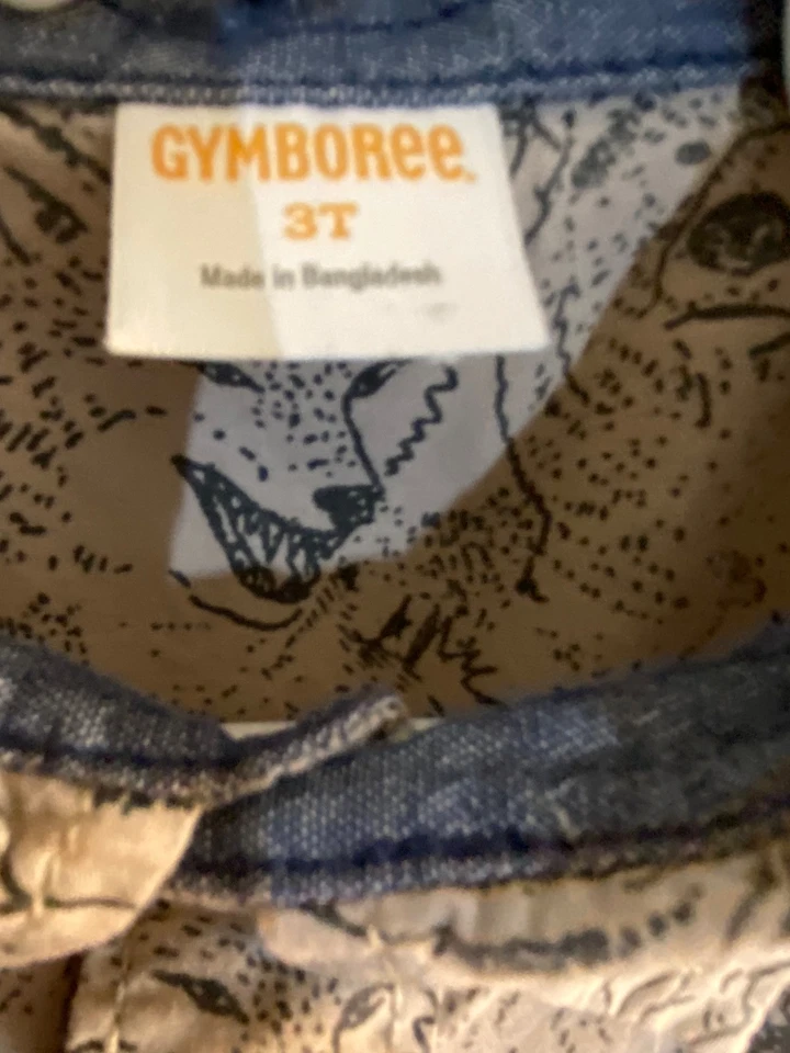 Conjunto de camisa y pantalones de marca Lucky para niños talla 3T Gymboree Foto 4 de 4