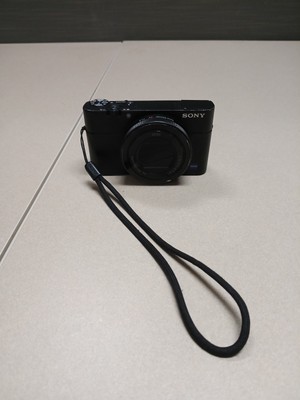 Sony Cyber-shot DSC-RX100 V RX100V 20.1MP RX100M5 Digital Camera (USA)