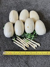 Jurassic Dinosaur Dino Egg Dig Kit Comes With 7 Eggs  Tool Dig/Brush Toys Vary