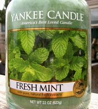 Yankee Candle "FRESH MINT" Green ~ Retired Label~ Large 22 oz.~ WHITE LABEL ~NEW