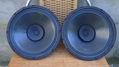 philips 12 inch full range speaker