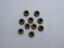 Miniaturansicht 81  - 10 verschiedene Knöpfe Knopf Kokosnussknopf Holzknopf Holzknöpfe Larp Trachten