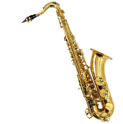 #Deal Tenor Saxophone Complete Kit w/Case Gold Brass Lacquer for Beginners